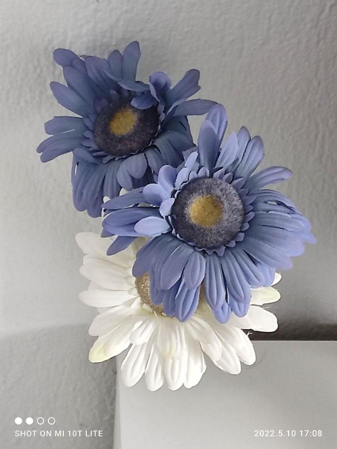 Kallithea Nastro Azzurro Luaran gambar
